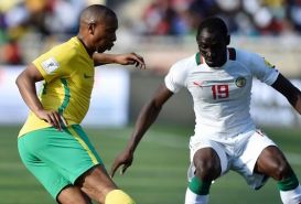 Soi kèo Zimbabwe vs Nam Phi 20h 3/9 dự đoán kết quả Vòng loại World Cup 2022