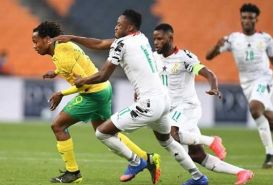 Soi kèo Nam Phi vs Ghana 23h 6/9 dự đoán kết quả Vòng loại World Cup 2022