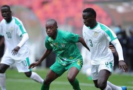 Soi kèo Senegal vs Guinea 20h 14/1 dự đoán kết quả CAN Cup