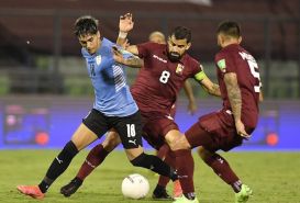 Soi kèo Uruguay vs Venezuela, 06h00 ngày 2/2 dự đoán kết quả vòng loại World Cup 2022