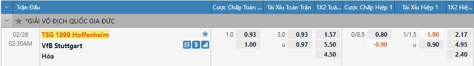 soi keo hoffenheim vs stuttgart
