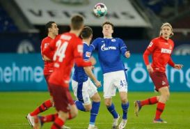 Soi kèo Cologne vs Schalke 22h30 7/8 dự đoán kết quả vòng 1