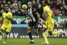 Soi kèo Newcastle vs Brentford, 21h00 ngày 8/10 dự đoán kết quả vòng 10