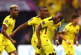 Soi kèo Ecuador vs Senegal, 22h 29/11 dự đoán kết quả vòng bảng World Cup 2022